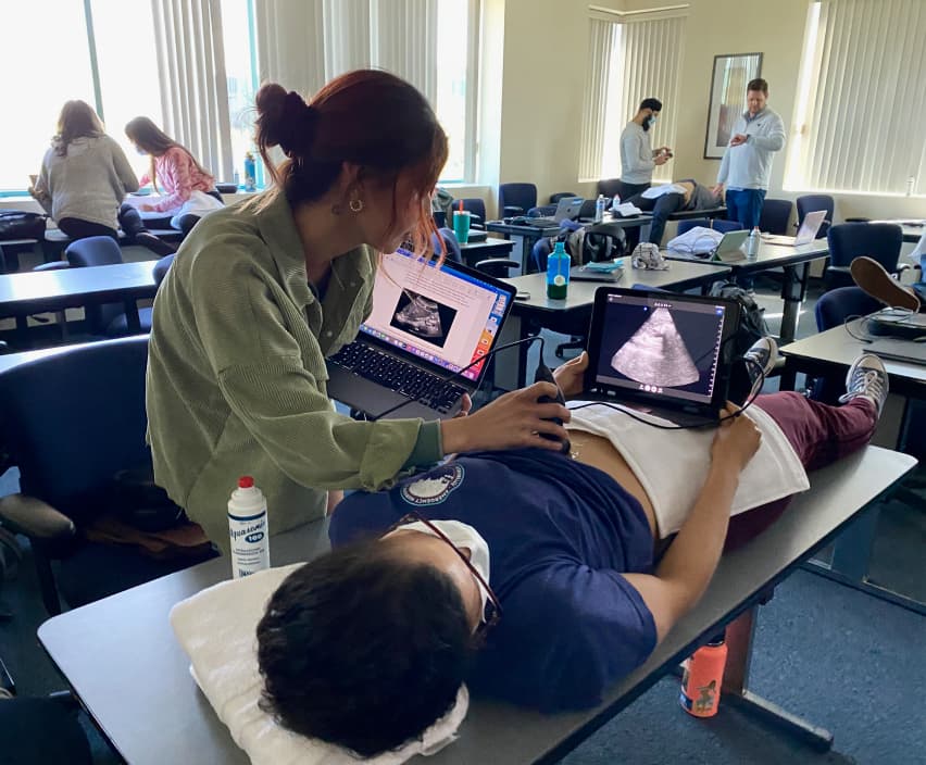 医学教育 · 产品与应用图示